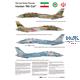 The Last Active Tomcats - Iranian "Alicat" (F14A)