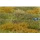 Grasmatte Wildwuchs + Unkraut  2-6mm Herbst