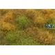 Grasmatte wildes Gebüsch/wild shruberry - Herbst