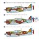 Curtiss Hawk H75-C1 "French AF" (Premium Edition)