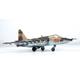 SU-25 Frogfoot
