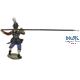 Austrian Musketeers and Pikemen XVII century AD